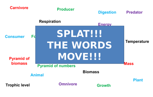 Food Webs, Biomass | Moving Splat!!! | Game | Revision