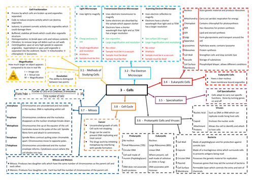 Cells Revision Mind Map Aqa Asa Level Biology 74017402 Teaching 8320