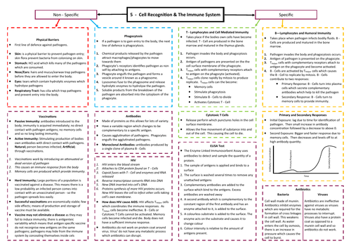 Cell Recognition and The Immune System Revision Mind Map - AQA AS/A Level Biology (7401/7402)