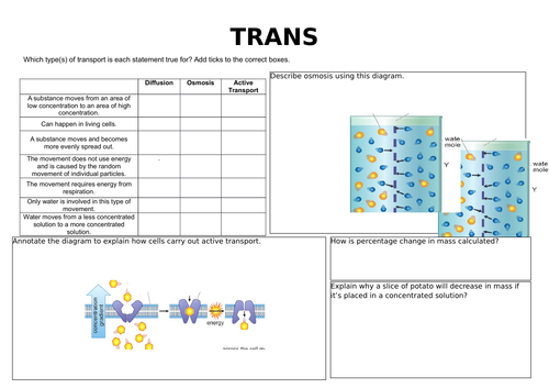 Diffusion Osmosis and Active transport