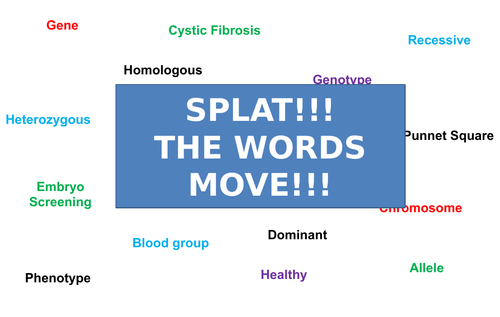 Inheritance | Moving Splat!!! | Game | Revision
