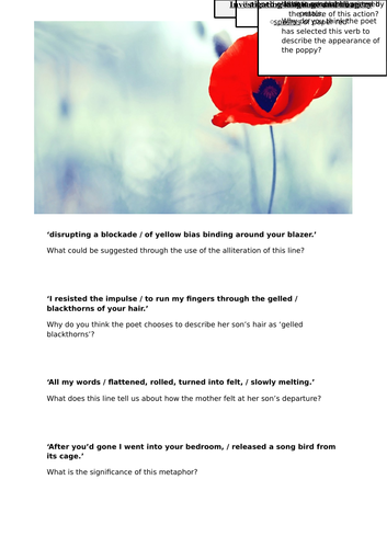 Poppies - AQA Power and Conflict