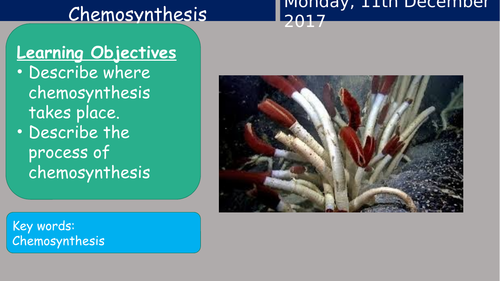 KS3 Activate Chemosynthesis