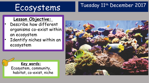 KS3 Activate Ecosystems