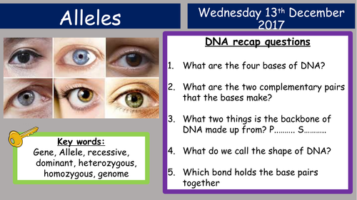 Edexcel GCSE Genetics - Alleles