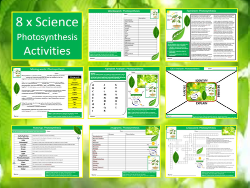 8 x Photosynthesis Starter Activities Keywords Wordsearch Crossword Science Biology