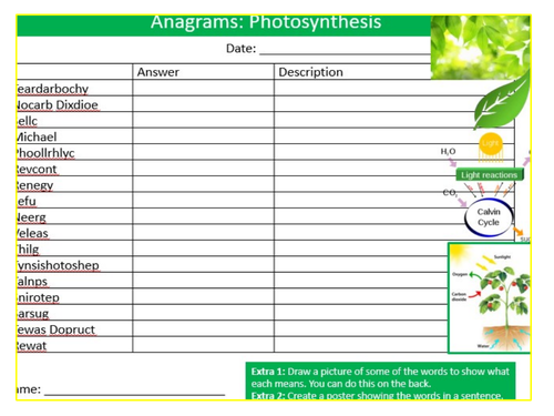 Photosynthesis Anagrams Quiz Sheet Keywords KS3 Settler Starter Cover Lesson Science Biology