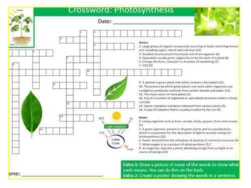 Photosynthesis Crossword Sheet Keywords KS3 Settler Starter Cover Lesson Science Biology