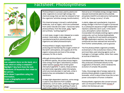 Photosynthesis Factsheet Sheet Keywords KS3 Settler Starter Cover Lesson Science Biology
