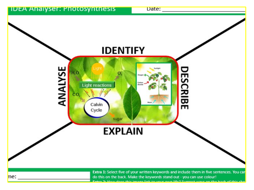 Photosynthesis IDEA Analyser Sheet Keywords KS3 Settler Starter Cover Lesson Science Biology