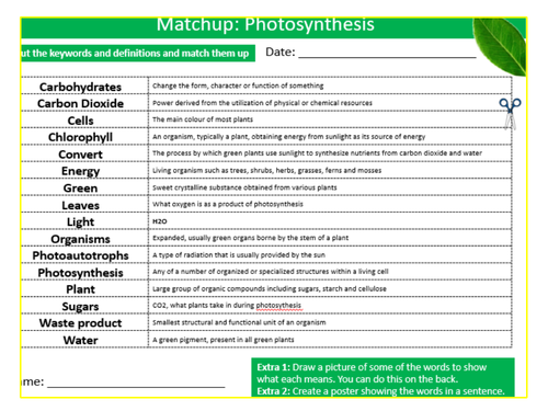 Photosynthesis Matchup Definitions Sheet Keywords KS3 Settler Starter Cover Lesson Science Biology