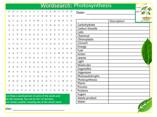 Photosynthesis Wordsearch Sheet Keywords KS3 Settler Starter Cover Lesson Science Biology