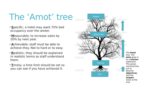 Aims, mission, objectives, targets iGCSE