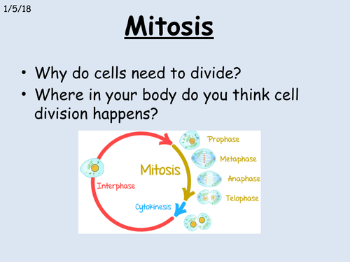 Mitosis Animation for Lower Ability pupils CB2a