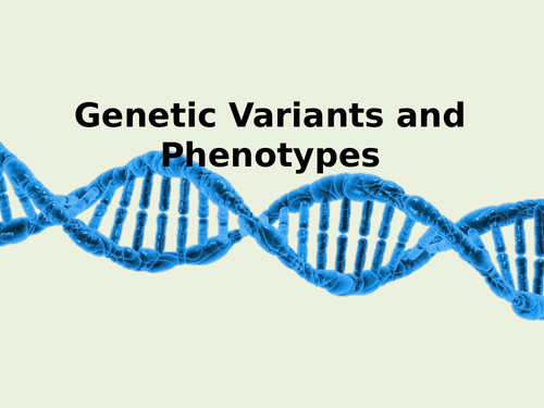 SB3e Genetic Variants and Phenotypes
