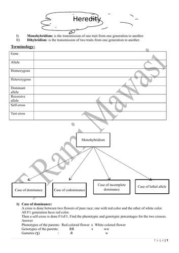 Dihybridism (17 pages)