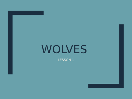 Year 7 Wolves themed work