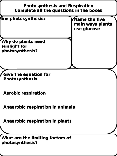 Photosynthesis and Respiration Worksheet