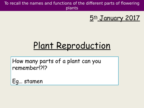 plant reproduction 3 - flower anatomy