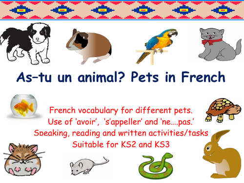 Pets in French - French Vocab. Speaking, Reading and Written Tasks