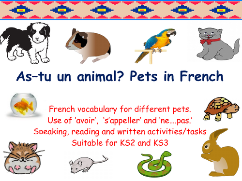 Pets in French - French Vocab. Speaking, Reading and Written Tasks ...