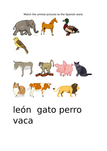 Matching animal pictures to spanish vocabulary