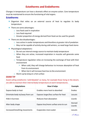Ectotherms and Endotherms Notes