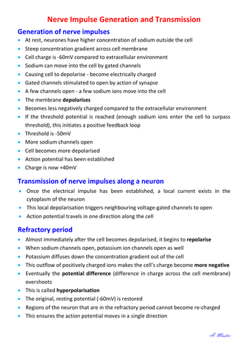 Nerve Impulse Generation and Transmission