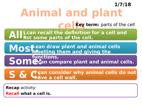 CB1b Plant and animal cells (Edexcel Combined Science)