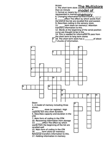 Multi-store model of memory crossword