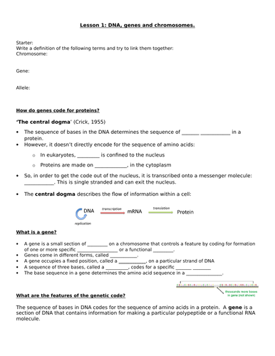 Genetic Code (New AQA spec)