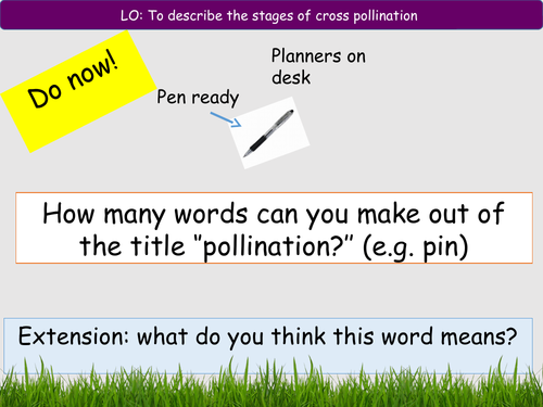plant reproduction 4 - pollination