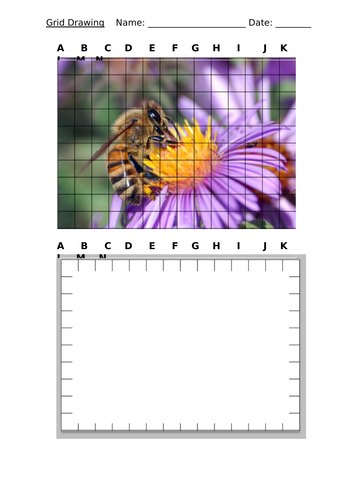 Art and Design - Bee Grid Drawing - KS3 Observational Drawing Worksheet - Homework or Cover Work