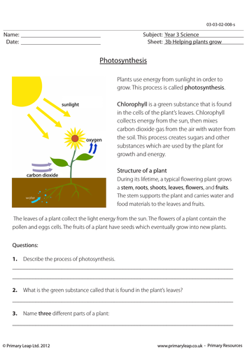 Ks2 Science Worksheet Photosynthesis By Primaryleap Teaching
