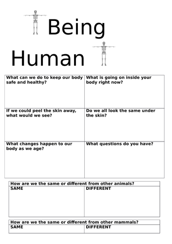 Being Human Knowledge Harvest