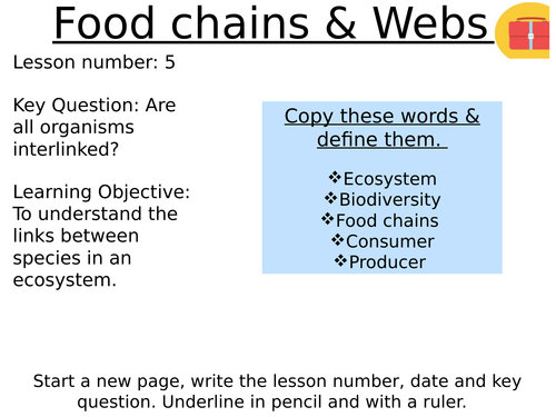 Food webs & Food chains
