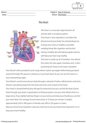 ks2 reading comprehension the human heart by primaryleap