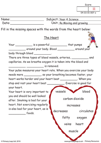 Cloze Activity - The Heart