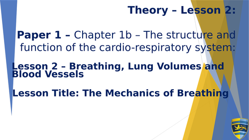 AQA GCSE PE (New Specification 2016) Chapter 1b: The Cardiovascular and Respiratory System Lesson 2