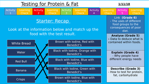 AQA (9-1) GCSE - Testing for Protein and Fats (Organisation)