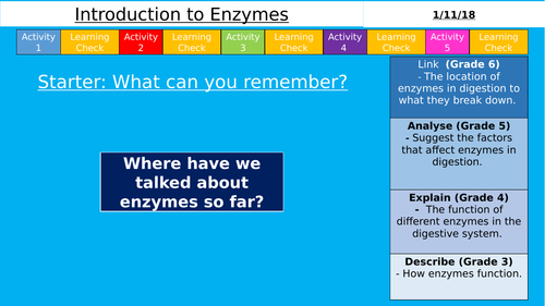 AQA (9-1) GCSE - Introduction to Enzymes (Organisation)