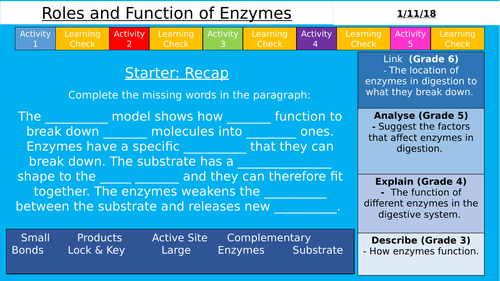 AQA (9-1) GCSE - Roles and Functions of Enzymes (Organisation)