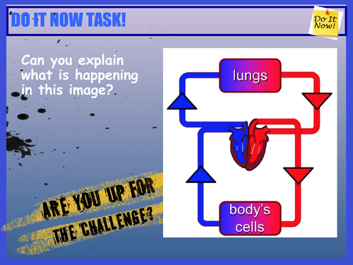 Double Circulatory System