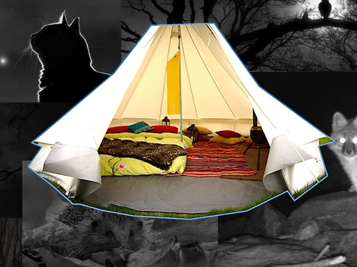 inside outside writing session, a tent at night, camping, simile and vocabulary work, differentiated