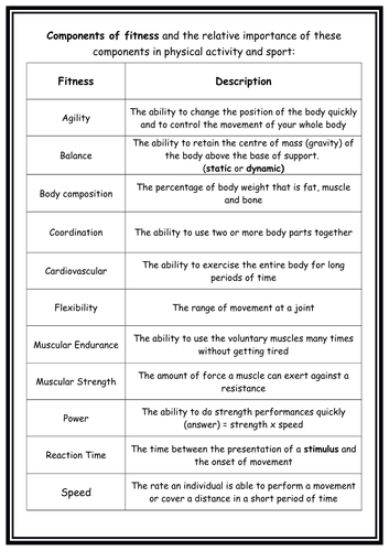 Components of Fitness worksheet