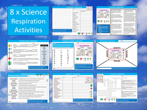 8 x Respiration Starter Activities Keywords Wordsearch Crossword Science Biology