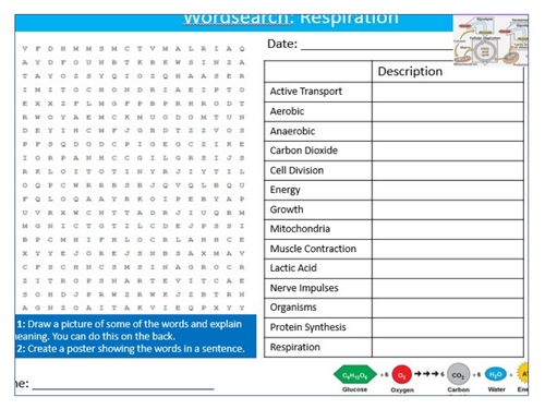 Respiration Wordsearch Sheet Keywords KS3 Settler Starter Cover Lesson Science Biology