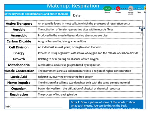 Respiration Matchup Definitions Sheet Keywords KS3 Settler Starter Cover Lesson Science Biology