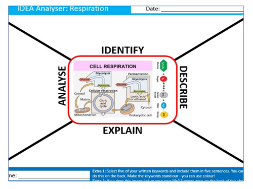 Respiration IDEA Analyser Sheet Keywords KS3 Settler Starter Cover Lesson Science Biology