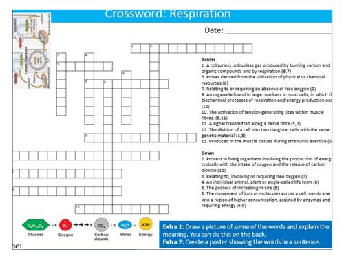 Respiration Crossword Puzzle Sheet Keywords KS3 Settler Starter Cover Lesson Science Biology